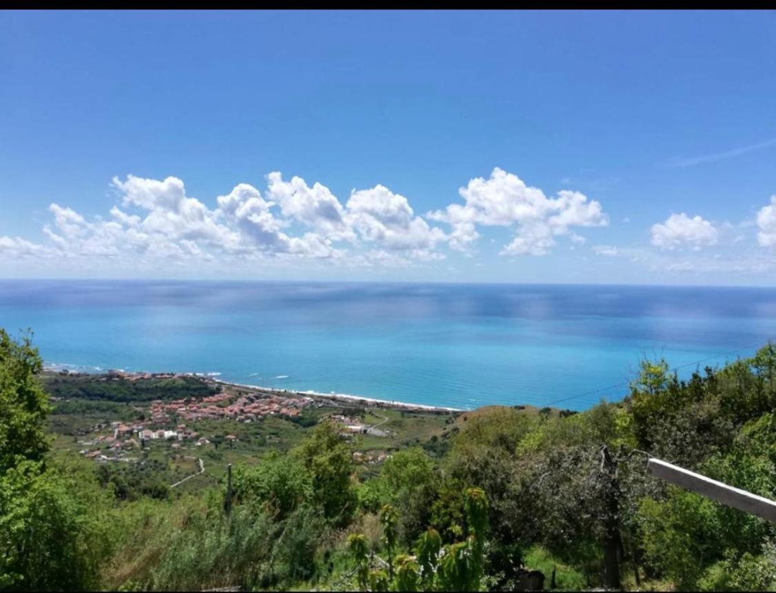 דירות Buonvicino Il Panorama מראה חיצוני תמונה
